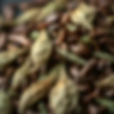 Tea leaves of Darjeeling tea showcasing their unique shape and color