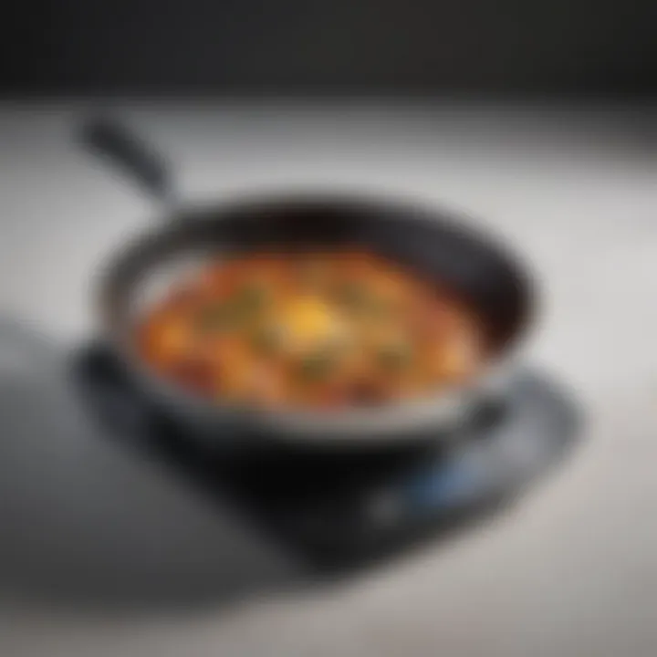 A sleek electric skillet with various temperature settings displayed