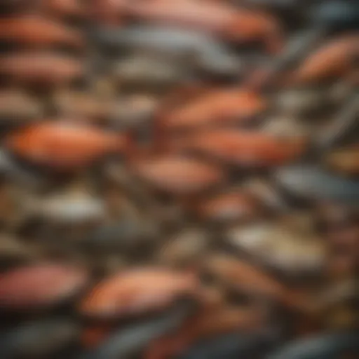 A vibrant display of various wild caught fish at a market