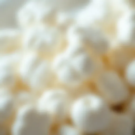 A close-up view of a selection of popular white candies showcasing their textures and shapes