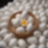 Creative display of decorated white plastic eggs