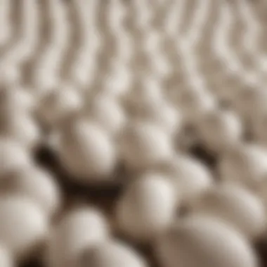 White Plastic Eggs in Education Educational use of white plastic eggs in a classroom setting