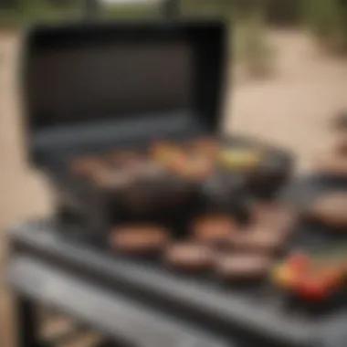 Comparison of Weber Roadtrip Grill and other portable grills