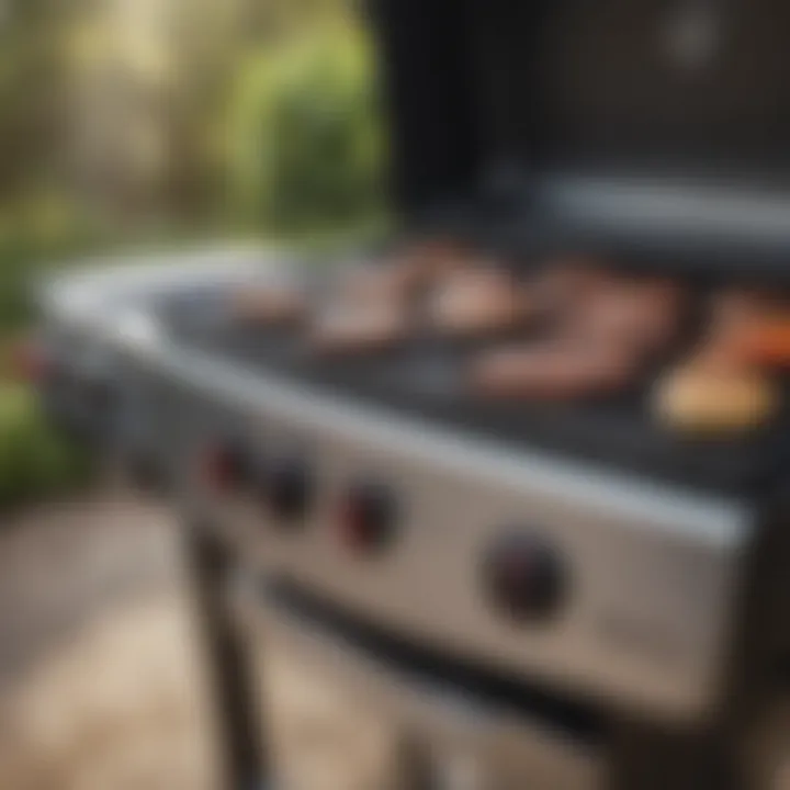 Close-up of Weber Roadtrip Grill features