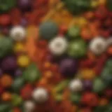 A Colorful Array of Organic Produce Vibrant assortment of organic vegetables