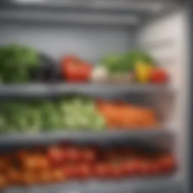 Fresh Vegetables Arrangement Neatly arranged vegetables in a refrigerator