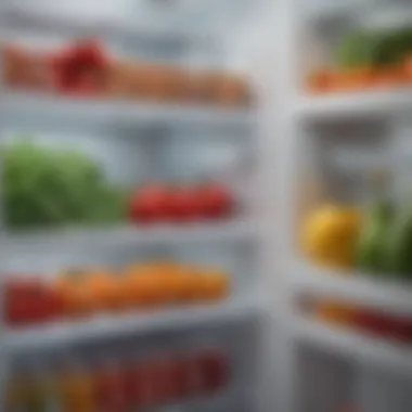 Optimal Temperature Settings Temperature control display inside a refrigerator