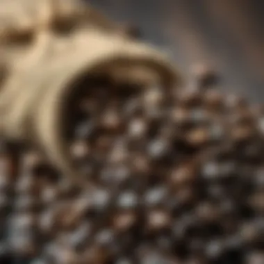 Premium Artisan Coffee Beans Artisan coffee beans in a burlap sack