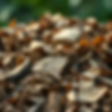 A collection of brown compost materials like dried leaves and cardboard