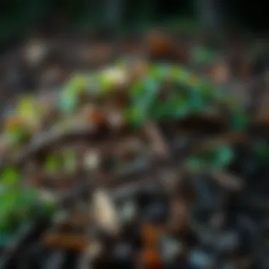 A well-structured compost pile showcasing a balanced mixture of greens and browns