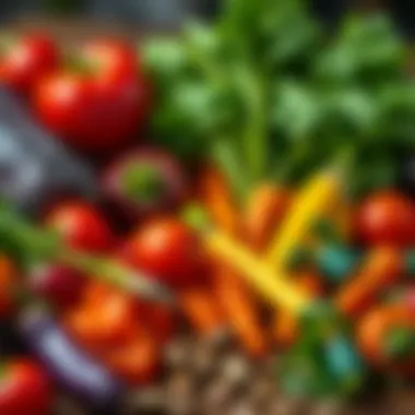 Vibrant veggies and supplements for dogs