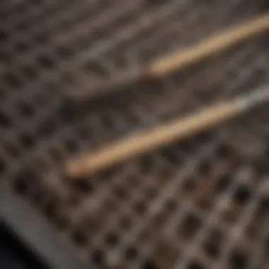 Essential Cleaning Tools for Grates Various tools for cleaning barbecue grates displayed neatly
