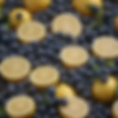 A close-up of blueberries and lemons highlighting the fresh ingredients