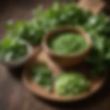 Fresh cilantro leaves alongside a bowl of prepared cilantro paste