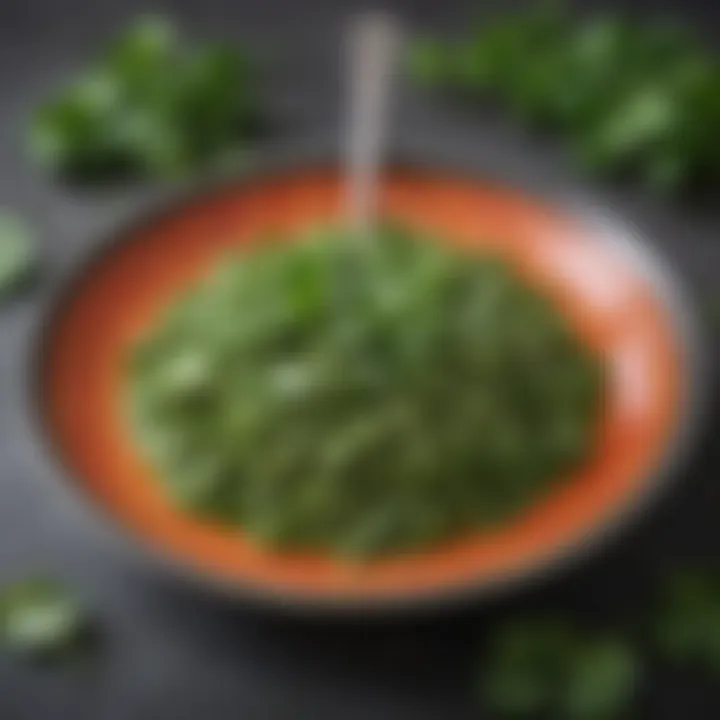 Spoonful of cilantro paste on a colorful plate