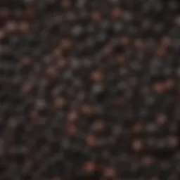 Close-up of dried black beans showcasing their rich texture and color