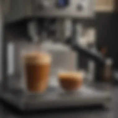 Maintenance and Care Tips for the Coffee Machine Maintenance and care tips for the coffee machine