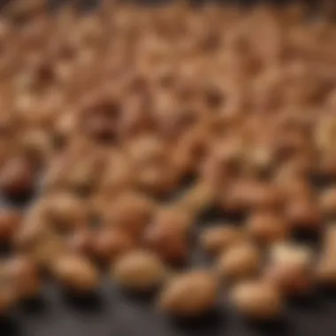 Nutrient-Rich Nuts: A Perfect Snack Choice Nut varieties suitable for diabetics