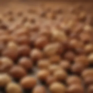 Nuts as Natural Remedies Variety of nuts beneficial for headache management