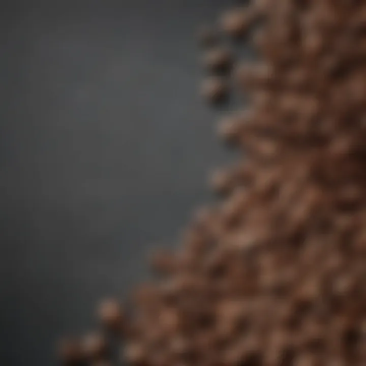 An array of coffee beans selected for optimal brewing