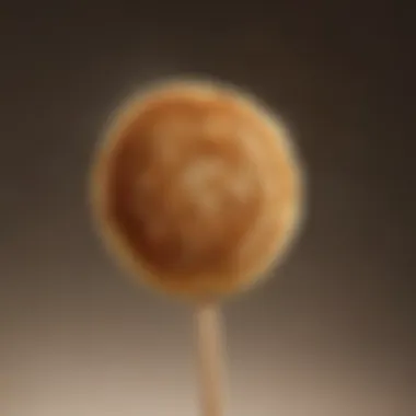 A close-up of pancake on a stick revealing its fluffy texture and golden-brown crust