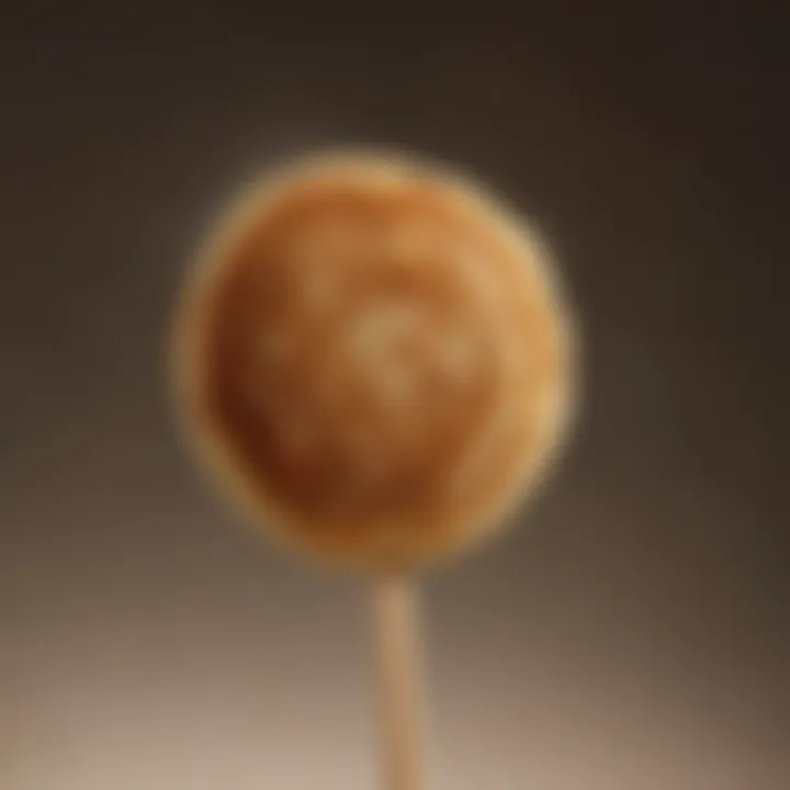 A close-up of pancake on a stick revealing its fluffy texture and golden-brown crust