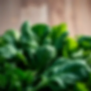 Green leafy vegetables arranged in a visually appealing manner highlighting their health benefits