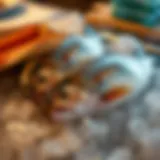 Fresh Pollock Selection Freshly caught pollock fish on ice