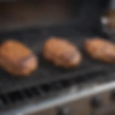 Side-by-side comparison of different propane grill models