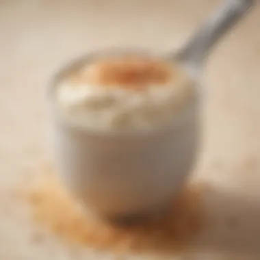 A close-up of a spoonful of arroz con leche showcasing its creamy texture