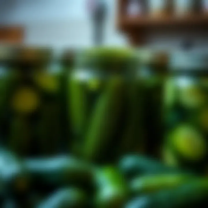 Jars of pickled cucumbers showcasing preservation