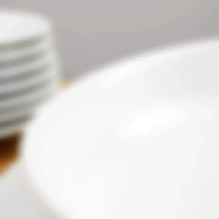 Close-up of a classic white dish highlighting its texture