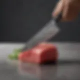 Close-up view of a fine Japanese chopping knife showcasing the blade's craftsmanship