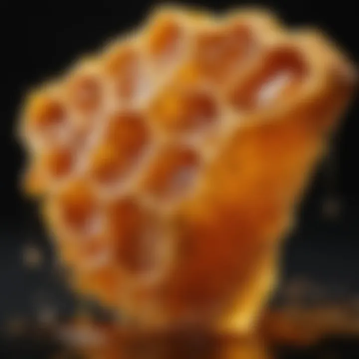Close-up of honeycomb with golden honey dripping from it