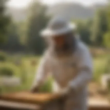 A serene landscape of a bee farm emphasizing sustainable practices