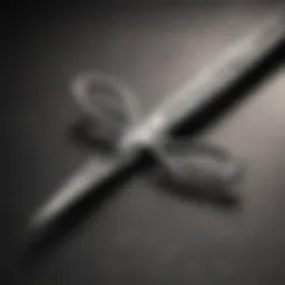 Close-up of premium scissors showcasing intricate design details.