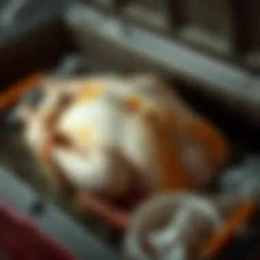 Brined turkey in a cooler