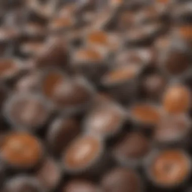 Close-up of coffee pods ready for recycling