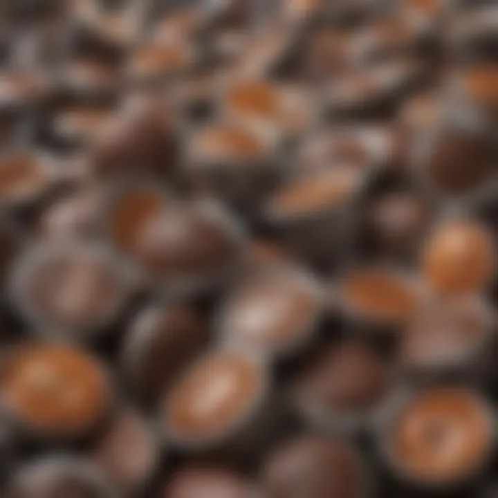 Close-up of coffee pods ready for recycling