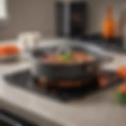 A sleek modern induction stove with touch controls and a minimalist design