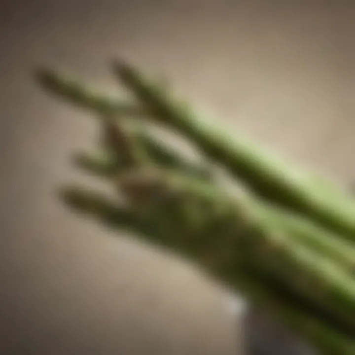 Close-up of tender asparagus illustrating its delicate texture