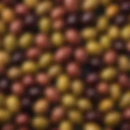 A vibrant assortment of olives highlighting their diverse colors and sizes