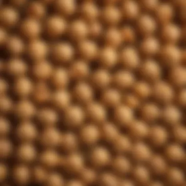 A close-up of cooked chickpeas showcasing their texture.