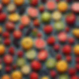 Assortment of colorful fruits