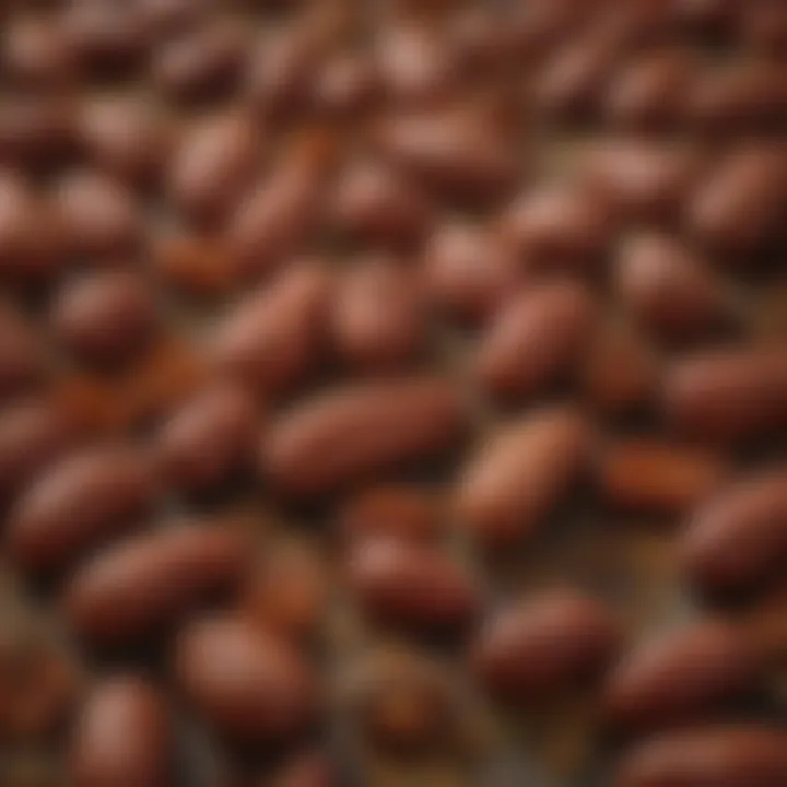 A close-up of spices commonly used in chorizo, highlighting their rich colors and textures.