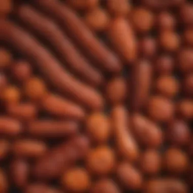 A vibrant display of various chorizo types showcasing their unique colors and textures.