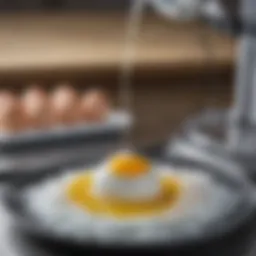 Detailed diagram of the egg freezing procedure