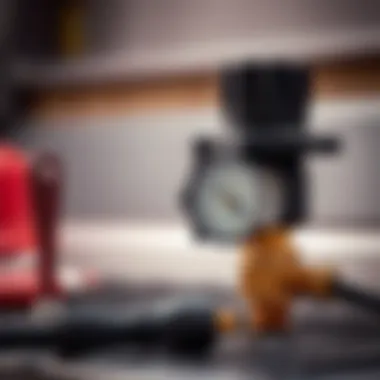 Maintenance Tools for LP Gas Grill Regulators A well-maintained LP gas grill regulator highlighted with maintenance tools