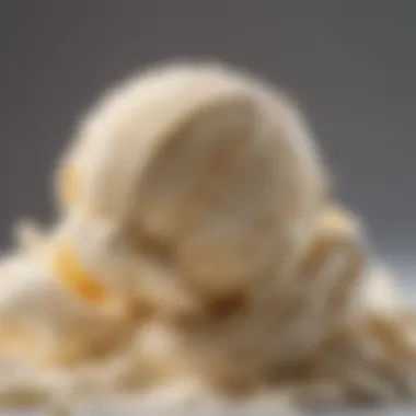 Creamy Texture of Non-Dairy Ice Cream A close-up of a scoop of creamy non-dairy ice cream