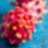 Vibrant Colors and Unique Texture of Pitaya Close-up view of a vibrant pitaya fruit showing its unique texture and colors